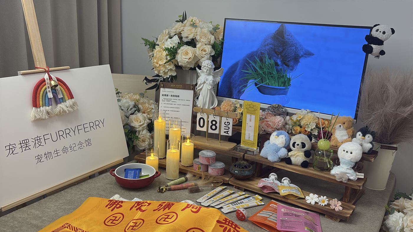 吉林宠物火化多少钱？雾凇之都火化收费全解析