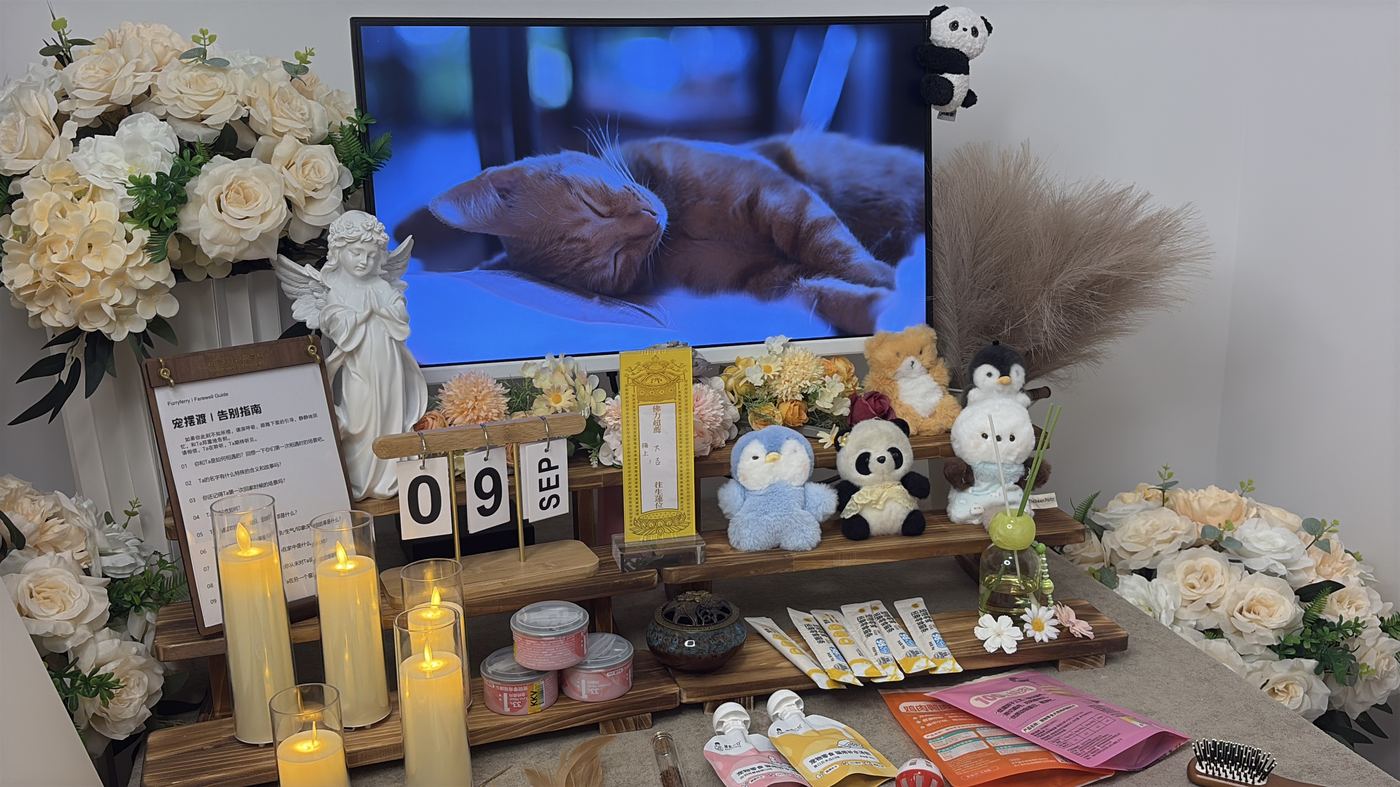 雾凇之都的告别方式：吉林本地家庭如何安放宠物